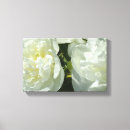 Zoek naar mooie bloemen kunst Witte rozen