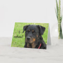 Zoek naar rottweilers kaarten Elk persoon