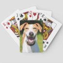 Zoek naar grappige afbeeldingen speelkaarten Dieren