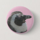 Zoek naar pinguins buttons Voor iedereen