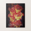 Zoek naar psalmen puzzels Scriptie