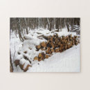 Zoek naar boomstam puzzels Foto