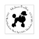 Zoek naar miniatuur poedel posters Schattig