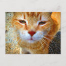 Zoek naar friendly briefkaarten Voor haar