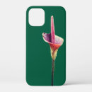 Zoek naar voodoo iphone hoesjes Bloem