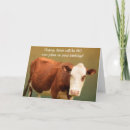 Zoek naar grappige stier kaarten Koe