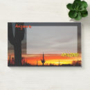 Zoek naar sonora woestijn posters Zuidwesten