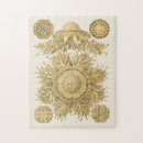 Zoek naar haeckel puzzels Zee