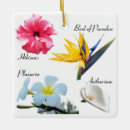 Zoek naar hawaiian ornamenten Hibiscus