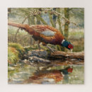 Zoek naar fazant puzzels Jager