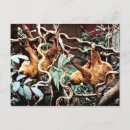Zoek naar sloth briefkaarten Zoo