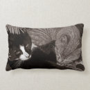 Zoek naar tabby cat kussens Kitten