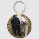 Zoek naar gouden labrador sleutelhangers Puppy