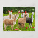 Zoek naar bier humor posters Grapje