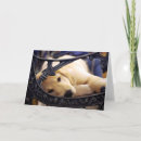 Zoek naar golden retriever puppy kaarten Gouden opvrager