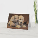 Zoek naar goldendoodle kaarten Gouden