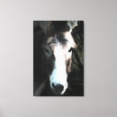 Zoek naar ezels kunst Landbouwhuisdieren