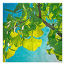 Zoek naar ginkgo bladeren posters Gingko