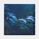 Zoek naar aquarium magneten Tropisch
