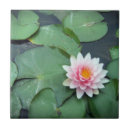 Zoek naar lotus tegels Lily