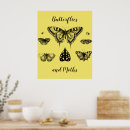 Zoek naar vlinders en motten posters Natuur