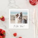 Zoek naar witte hond servetten Modern
