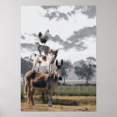 Zoek naar grappige ezel kunst Dier