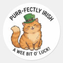Zoek naar oranje kat stickers Voor kattenliefhebbers