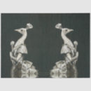 Zoek naar peacock tissue papier Vogel