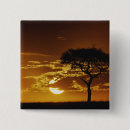 Zoek naar acacia buttons Adam jones