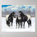 Zoek naar sneeuw posters Paarden