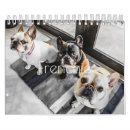 Zoek naar bulldog kalenders Frenchie