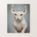 Zoek naar elfe puzzels Elk persoon