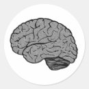 Zoek naar anatomie stickers Wetenschap