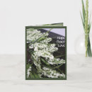 Zoek naar winter solstice kaarten Vakantie