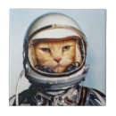 Zoek naar grappige katten tegels Kattenliefhebber