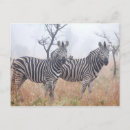 Zoek naar kruger briefkaarten Horizontaal