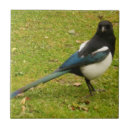 Zoek naar iriserend blauw tegels Vogel
