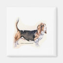 Zoek naar basset hond magneten Puppies