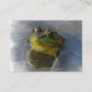 Zoek naar groene kikker visitekaartjes Dieren