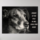 Zoek naar honden posters Quote