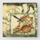 Zoek naar shell klokken Natuur