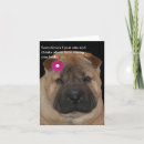 Zoek naar rimpelige hond kaarten Puppy