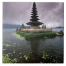 Zoek naar hindu tegels Hindoeïsme