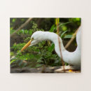 Zoek naar vogel puzzels Ieder kind