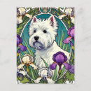 Zoek naar westie briefkaarten Hond