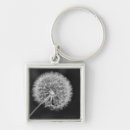 Zoek naar zaad sleutelhangers Dandelion