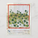Zoek naar meloen briefkaarten Fruit