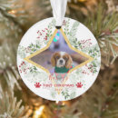 Zoek naar pet ornamenten Groen