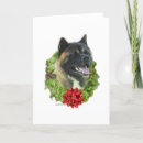 Zoek naar akita kaarten Inu